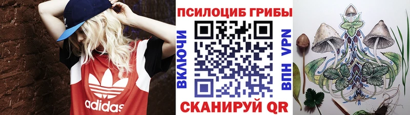 Псилоцибиновые грибы MAGIC MUSHROOMS  хочу наркоту  Никольское 